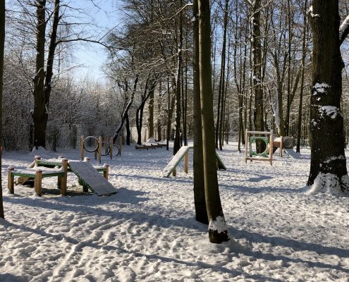 drzewa, śnieg, urządzenia dla psów